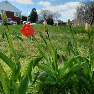 Meet your Posher, Barbarita